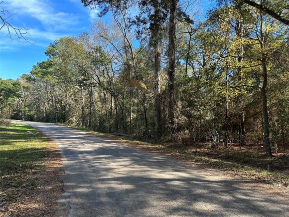 0 Lakeview Drive New Waverly, TX Plot of land Sold - Photo 1 of 1. Opens carousel modal