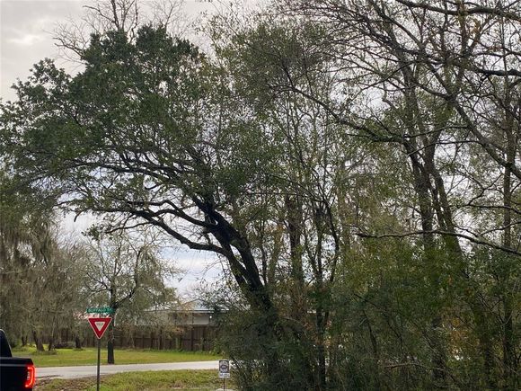 0 Buffalo Trail Lake Jackson, TX Plot of land Sold - Photo 1 of 1. Opens carousel modal