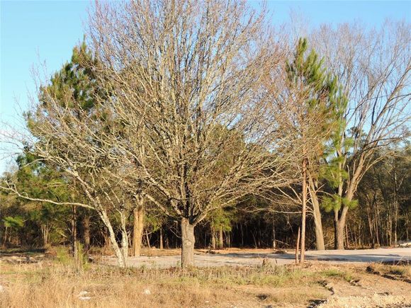17509 Fm 1774 Plantersville, TX Plot of land Sold - Photo 1 of 1. Opens carousel modal