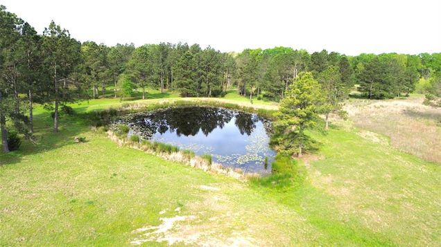 1200 Buckhorn Creek Drive Crockett, TX Plot of land Active - Photo 1 of 24. Opens carousel modal