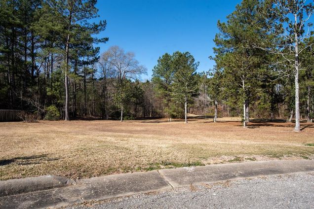 106 Brookdale Circle Woodville, TX Plot of land Active - Photo 1 of 3. Opens carousel modal