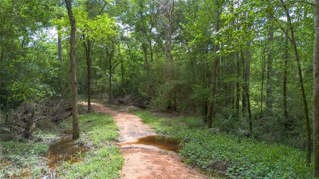 00 Bergman Lane Magnolia, TX Plot of land Sold - Photo 1 of 1. Opens carousel modal