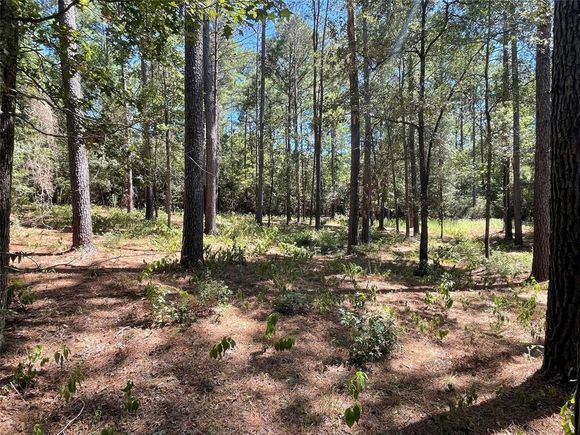 Tbd Remington Road Huntsville, TX Plot of land Active - Photo 1 of 17. Opens carousel modal