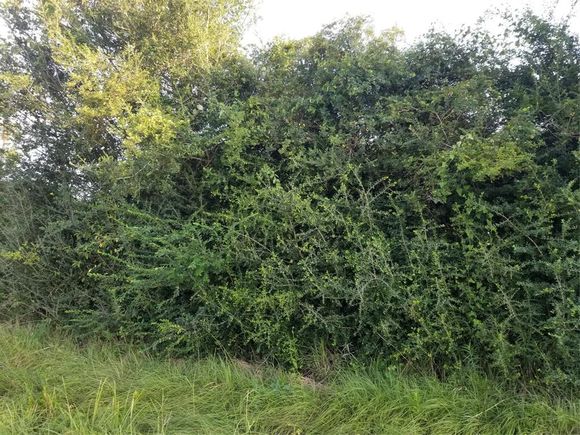 Lt 15 B, Blk 1 Botkins Road Hockley, TX Plot of land Sold - Photo 1 of 1. Opens carousel modal