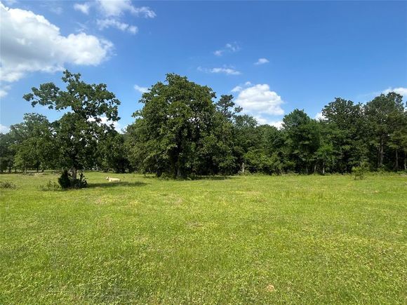 26795 Rice Road Hockley, TX Plot of land Active - Photo 1 of 23. Opens carousel modal