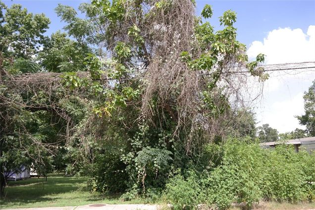 110 Young Street Willis, TX Plot of land Active - Photo 1 of 6. Opens carousel modal
