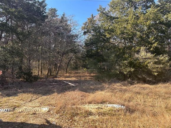 145 County Road 411 Somerville, TX Plot of land Active - Photo 1 of 4. Opens carousel modal