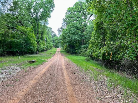 0 Forest Road Crockett, TX Plot of land Active - Photo 1 of 11. Opens carousel modal
