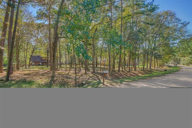 46 Lake Drive Conroe, TX House Sold - Photo 1 of 1. Opens carousel modal
