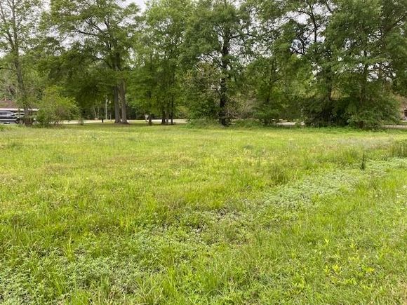 13562 Opaletta Porter, TX Plot of land Sold - Photo 1 of 1. Opens carousel modal