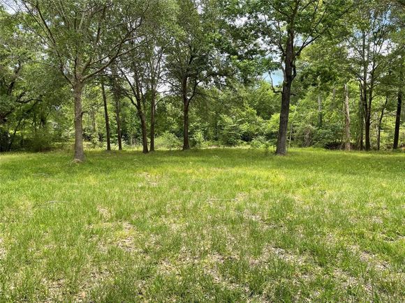 0 Lori Drive Spring, TX Plot of land Sold - Photo 1 of 1. Opens carousel modal