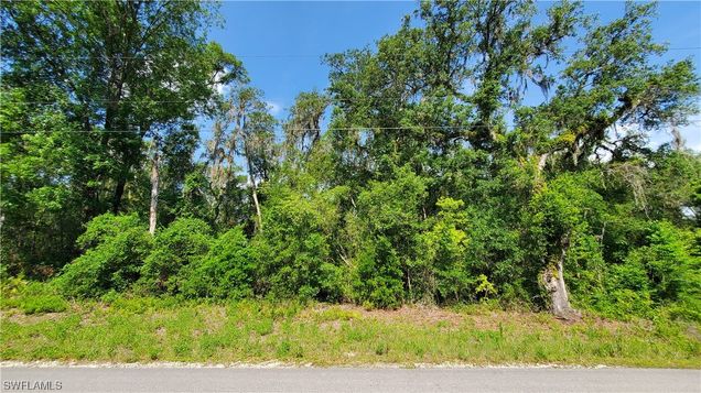 7491 Shasta Street Webster, FL Plot of land Active - Photo 1 of 5. Opens carousel modal