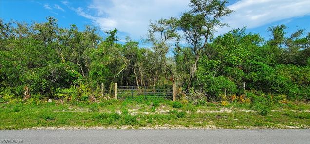 8115 Shasta Street Webster, FL Plot of land Active - Photo 1 of 10. Opens carousel modal