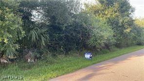 22452 Cezane Avenue Port Charlotte, FL Land Active - Photo 1 of 1. Opens carousel modal