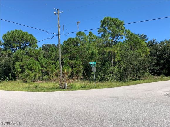 701 Fairfield Avenue Lake Placid, FL Plot of land Active - Photo 1 of 4. Opens carousel modal