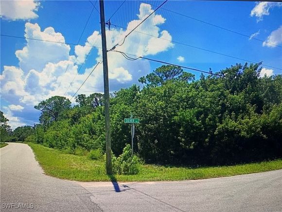 245 Silver Avenue Lake Placid, FL Plot of land Active - Photo 1 of 2. Opens carousel modal