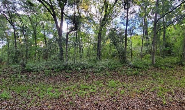 0 Kenyon Drive Webster, FL Plot of land Active - Photo 1 of 6. Opens carousel modal
