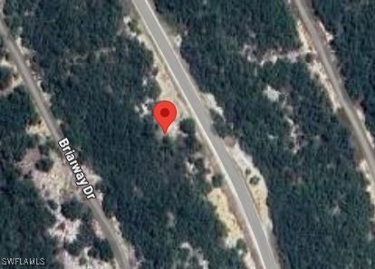 220 Hopedale Drive Lake Placid, FL Plot of land Active - Photo 1 of 3. Opens carousel modal