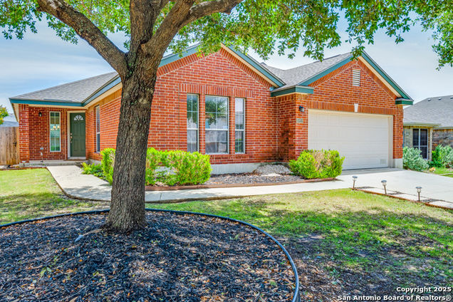 10122 Oak Saddle
