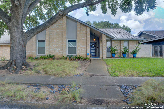 6019 Royal Breeze