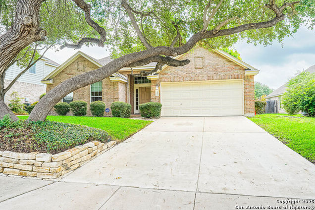 145 Green Brook