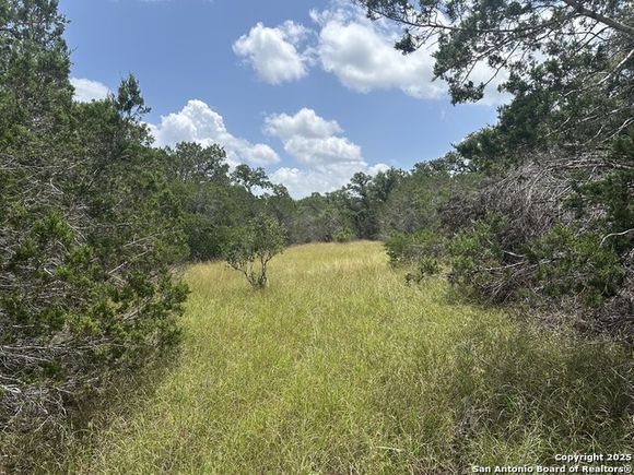 335 Serenity Spring Branch, TX Plot of land Active - Photo 1 of 11. Opens carousel modal