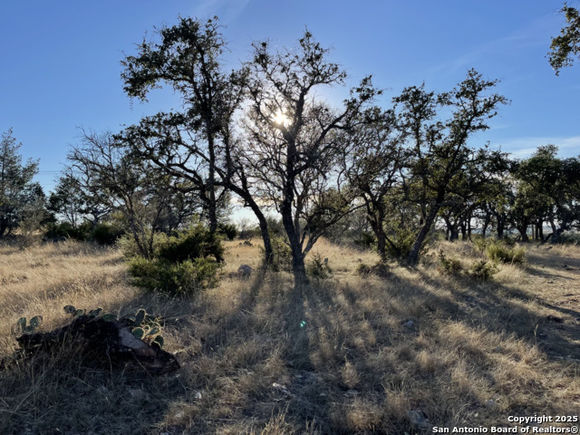 10083 S Texas Highway 55
