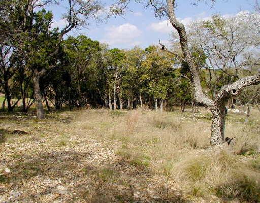 24802 BOGEY RIDGE San Antonio, TX Plot of land Sold - Photo 1 of 6. Opens carousel modal