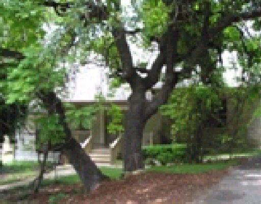 10435 MOUNT CROSBY DR San Antonio, TX House Sold - Photo 1 of 15. Opens carousel modal