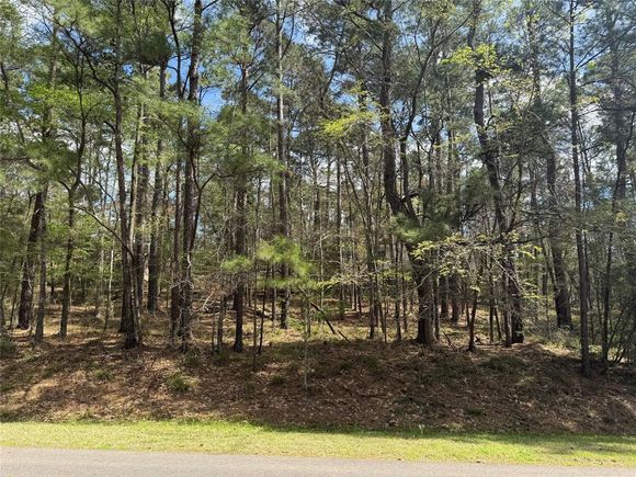 107 Green Tree Drive Coldspring, TX Plot of land Active - Photo 1 of 15. Opens carousel modal