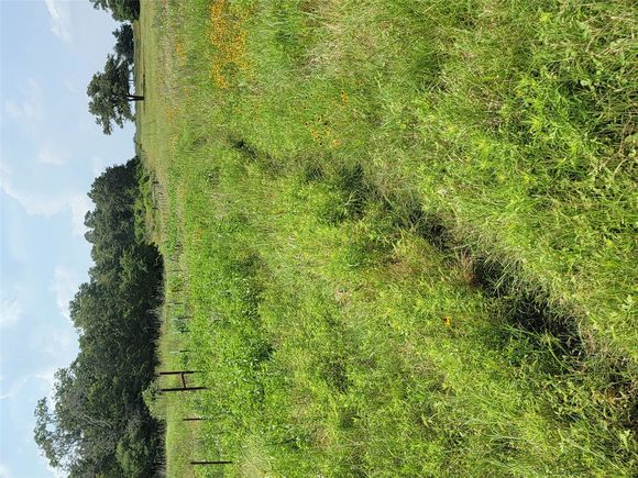 R27052 County Road 326 Rockdale, TX Plot of land Active - Photo 1 of 1. Opens carousel modal