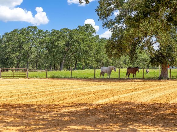 2995 County Road 442 Thrall, TX Plot of land Active - Photo 1 of 37. Opens carousel modal