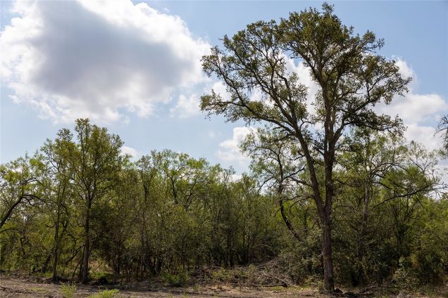 199 Brinley Mae Way Lockhart, TX Plot of land Active - Photo 1 of 6. Opens carousel modal