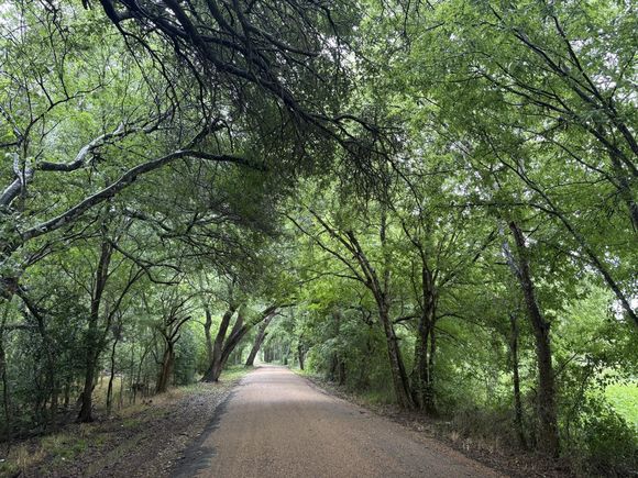 394 Country Way Rd Smithville, TX Plot of land Active - Photo 1 of 21. Opens carousel modal