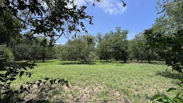 344 & 343 Bateman Rd Red Rock, TX Plot of land Active - Photo 1 of 13. Opens carousel modal