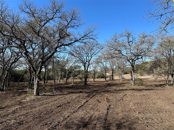 Tract 1 Fm 2955 Gatesville, TX Plot of land Active - Photo 1 of 14. Opens carousel modal
