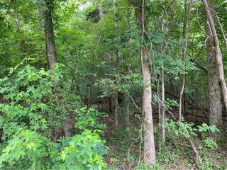 119 Fawn Trail