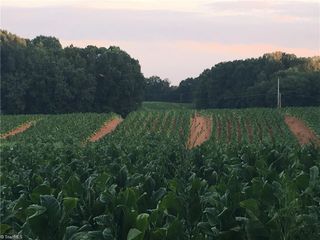 10.9 Ac Creed Road