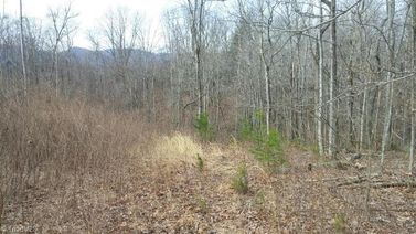 000 Lumber Plant Road