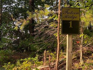 Lt 1 Falcon Ridge Drive