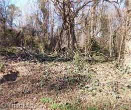 0 Barbara Jane Avenue Winston Salem, NC Plot of land Sold - Photo 1 of 1. Opens carousel modal