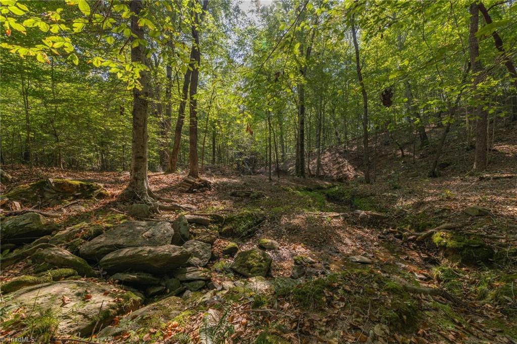 Lot 100 Woods Strm Ln