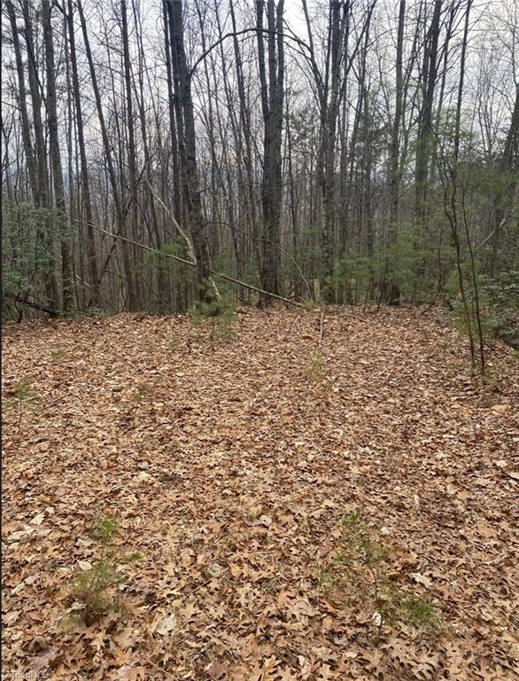 227 Deer Run  