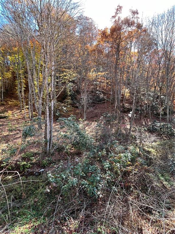 1972 Big Horse Creek Rd, Lansing, NC 28643 Estately 🧡 MLS 1161832