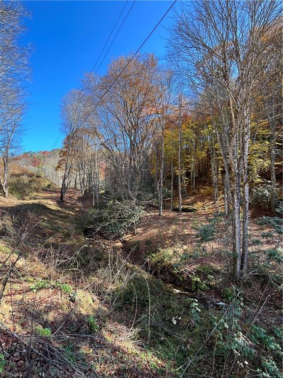 1972 Big Horse Creek Rd, Lansing, NC 28643 Estately 🧡 MLS 1161832