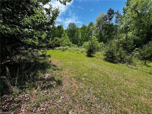 0000 Virgilina Circle Cana, VA Land Active - Photo 1 of 11. Opens carousel modal