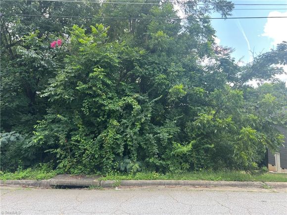 703 Langford Avenue High Point, NC Plot of land Active - Photo 1 of 2. Opens carousel modal