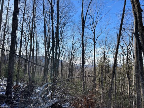 Tbd (Lot 8) Woodland Ridge Lansing, NC Land Active - Photo 1 of 10. Opens carousel modal