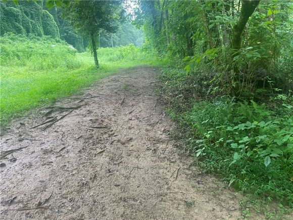 Tbd Ruritan Park Road North Wilkesboro, NC Plot of land Active - Photo 1 of 6. Opens carousel modal