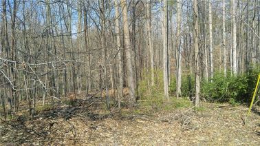 1.3 Ac Pinewood Drive